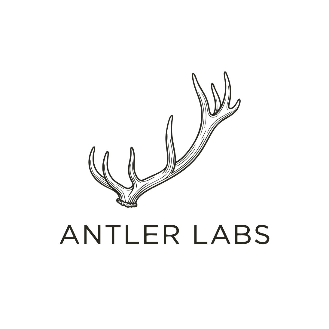 Antler Labs